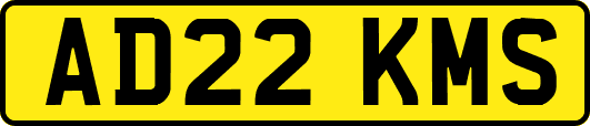 AD22KMS