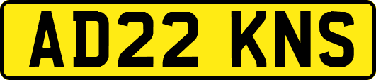 AD22KNS