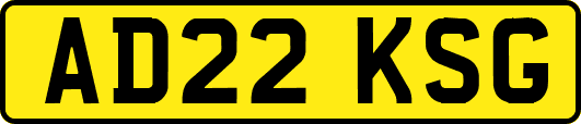 AD22KSG