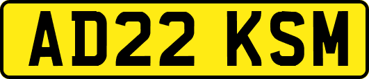 AD22KSM
