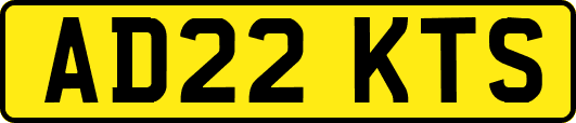AD22KTS