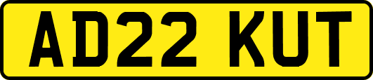 AD22KUT