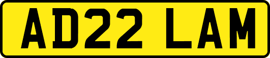 AD22LAM