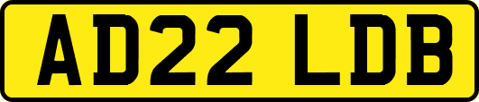 AD22LDB