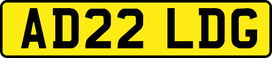 AD22LDG