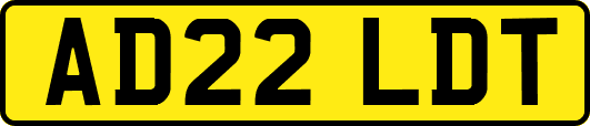 AD22LDT