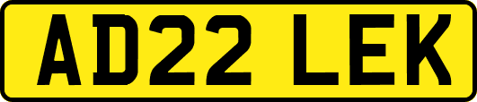 AD22LEK