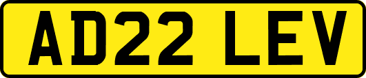 AD22LEV