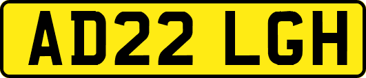 AD22LGH