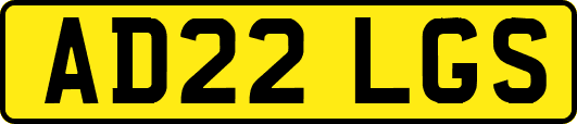 AD22LGS