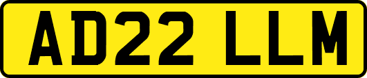 AD22LLM
