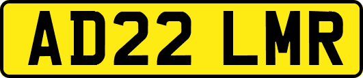 AD22LMR