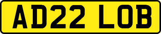 AD22LOB