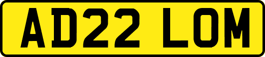 AD22LOM