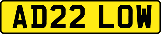 AD22LOW