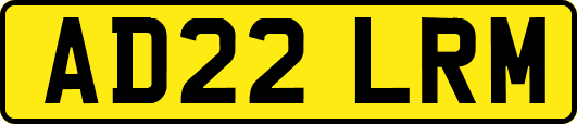 AD22LRM