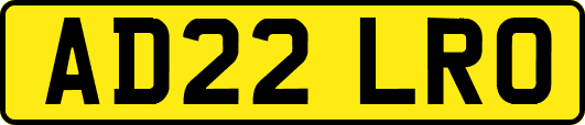 AD22LRO