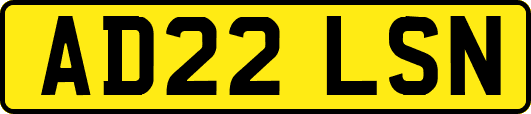 AD22LSN