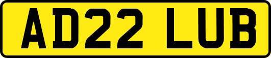 AD22LUB