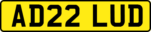 AD22LUD