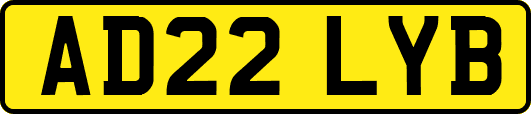 AD22LYB