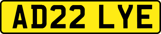 AD22LYE