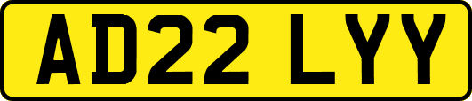AD22LYY