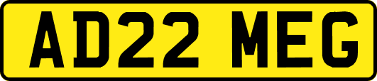AD22MEG