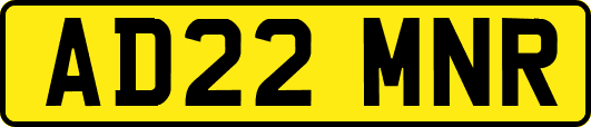 AD22MNR