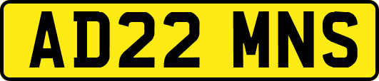 AD22MNS