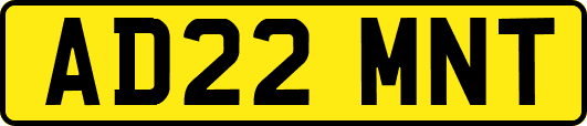AD22MNT