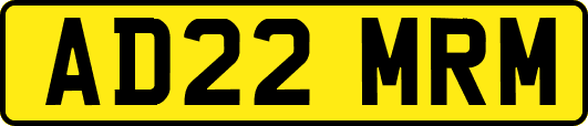 AD22MRM