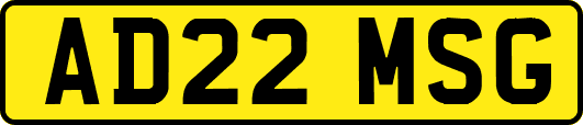 AD22MSG