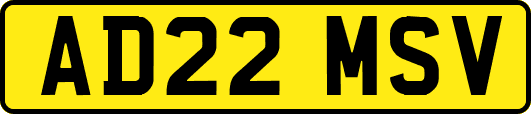 AD22MSV