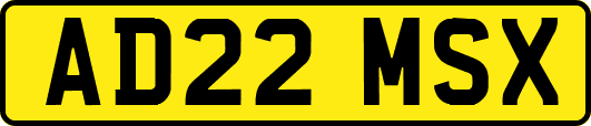 AD22MSX