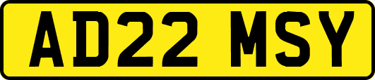 AD22MSY