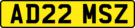 AD22MSZ