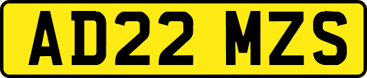 AD22MZS