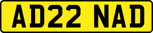 AD22NAD