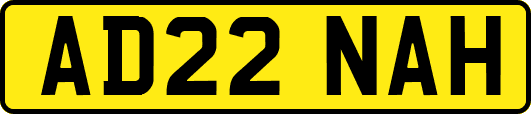 AD22NAH