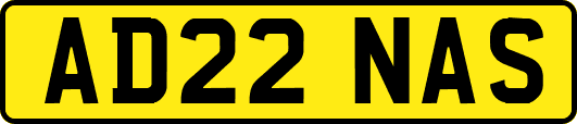 AD22NAS