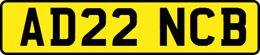 AD22NCB