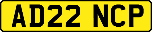 AD22NCP