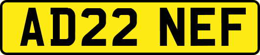 AD22NEF