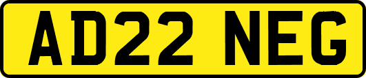 AD22NEG