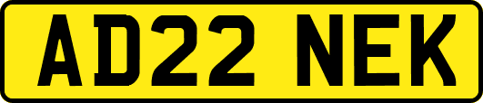 AD22NEK