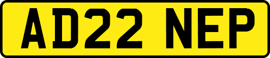 AD22NEP
