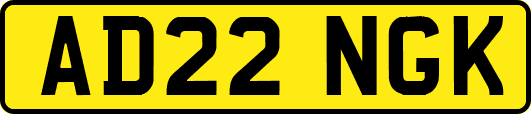 AD22NGK