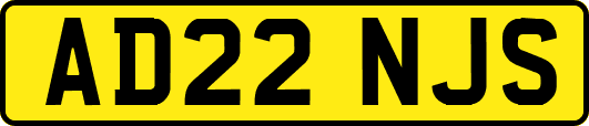 AD22NJS