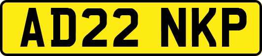 AD22NKP